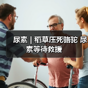 尿素 | 稻草压死骆驼 尿素等待救援(图4) 尿素 | 稻草压死骆驼 尿素等待救援(图4)