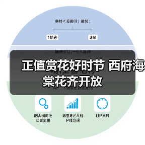 正值赏花好时节 西府海棠花齐开放(图3) 正值赏花好时节 西府海棠花齐开放(图3)