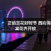 正值赏花好时节 西府海棠花齐开放(图4) 正值赏花好时节 西府海棠花齐开放(图4)