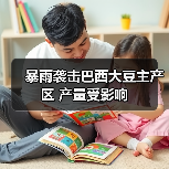 暴雨袭击巴西大豆主产区 产量受影响(图3) 暴雨袭击巴西大豆主产区 产量受影响(图3)