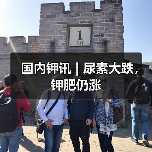国内钾讯 | 尿素大跌,钾肥仍涨(图4) 国内钾讯 | 尿素大跌,钾肥仍涨(图4)