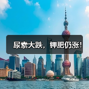 尿素大跌,钾肥仍涨!(图4) 尿素大跌,钾肥仍涨!(图4)