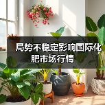 局势不稳定影响国际化肥市场行情 局势不稳定影响国际化肥市场行情