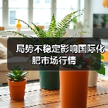 局势不稳定影响国际化肥市场行情(图4) 局势不稳定影响国际化肥市场行情(图4)
