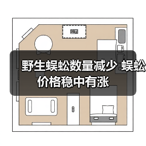 野生蜈蚣数量减少 蜈蚣价格稳中有涨(图1) 野生蜈蚣数量减少 蜈蚣价格稳中有涨(图1)