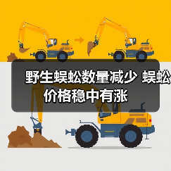 野生蜈蚣数量减少 蜈蚣价格稳中有涨(图2) 野生蜈蚣数量减少 蜈蚣价格稳中有涨(图2)