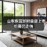 山东东营新鲜桑葚上市价高仍走俏 山东东营新鲜桑葚上市价高仍走俏