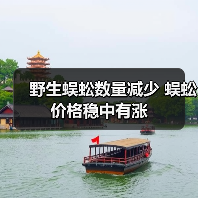 野生蜈蚣数量减少 蜈蚣价格稳中有涨(图4) 野生蜈蚣数量减少 蜈蚣价格稳中有涨(图4)
