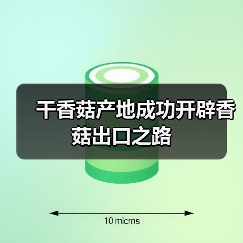 干香菇产地成功开辟香菇出口之路(图3) 干香菇产地成功开辟香菇出口之路(图3)