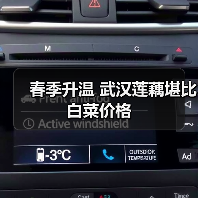 春季升温 武汉莲藕堪比白菜价格(图1) 春季升温 武汉莲藕堪比白菜价格(图1)