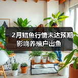 2月鲳鱼行情未达预期 影响养殖户出鱼(图2) 2月鲳鱼行情未达预期 影响养殖户出鱼(图2)