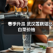 春季升温 武汉莲藕堪比白菜价格(图2) 春季升温 武汉莲藕堪比白菜价格(图2)