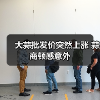 大蒜批发价突然上涨 蒜商顿感意外(图3) 大蒜批发价突然上涨 蒜商顿感意外(图3)