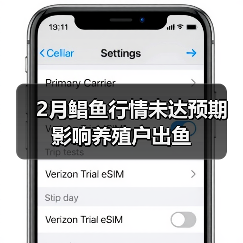2月鲳鱼行情未达预期 影响养殖户出鱼(图3) 2月鲳鱼行情未达预期 影响养殖户出鱼(图3)