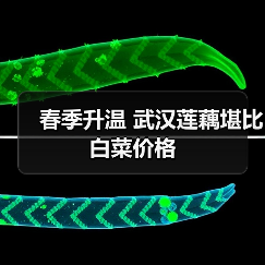 春季升温 武汉莲藕堪比白菜价格(图3) 春季升温 武汉莲藕堪比白菜价格(图3)