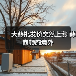 大蒜批发价突然上涨 蒜商顿感意外(图4) 大蒜批发价突然上涨 蒜商顿感意外(图4)