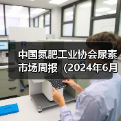 中国氮肥工业协会尿素市场周报(2024年6月3日-2024年6月9日)(图3) 中国氮肥工业协会尿素市场周报(2024年6月3日-2024年6月9日)(图3)