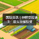 国际资讯 | 钾肥交投清淡；巨头放缓投资（图2）