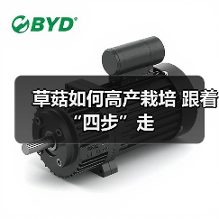 草菇如何高产栽培 跟着“四步”走（图3）