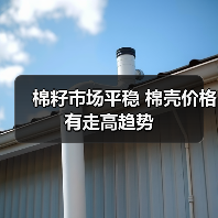 棉籽市场平稳 棉壳价格有走高趋势 棉籽市场平稳 棉壳价格有走高趋势