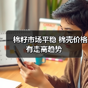 棉籽市场平稳 棉壳价格有走高趋势(图4) 棉籽市场平稳 棉壳价格有走高趋势(图4)