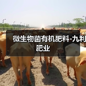 微生物菌有机肥料-九利肥业(图1) 微生物菌有机肥料-九利肥业(图1)