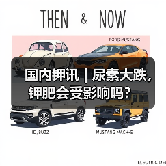 国内钾讯 | 尿素大跌，钾肥会受影响吗？（图2）