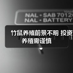 竹鼠养殖前景不明 投资养殖需谨慎(图1) 竹鼠养殖前景不明 投资养殖需谨慎(图1)