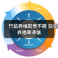 竹鼠养殖前景不明 投资养殖需谨慎(图3) 竹鼠养殖前景不明 投资养殖需谨慎(图3)