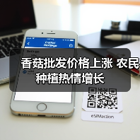 香菇批发价格上涨 农民种植热情增长(图2) 香菇批发价格上涨 农民种植热情增长(图2)