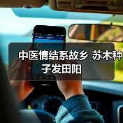 中医情结系故乡 苏木种子发田阳(图1) 中医情结系故乡 苏木种子发田阳(图1)