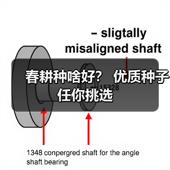春耕种啥好？ 优质种子任你挑选（图1）