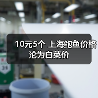 10元5个 上海鲍鱼价格沦为白菜价(图2) 10元5个 上海鲍鱼价格沦为白菜价(图2)