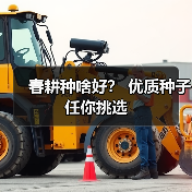 春耕种啥好？ 优质种子任你挑选（图3）