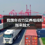 我国各省竹鼠养殖规模越来越大(图1) 我国各省竹鼠养殖规模越来越大(图1)