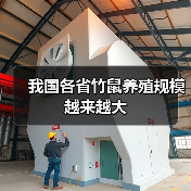 我国各省竹鼠养殖规模越来越大(图2) 我国各省竹鼠养殖规模越来越大(图2)