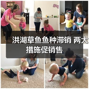洪湖草鱼鱼种滞销 两大措施促销售(图1) 洪湖草鱼鱼种滞销 两大措施促销售(图1)