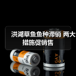 洪湖草鱼鱼种滞销 两大措施促销售(图3) 洪湖草鱼鱼种滞销 两大措施促销售(图3)