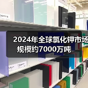 2024年全球氯化钾市场规模约7000万吨（图2）