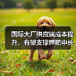 国际大厂供应端成本提升，有望支撑钾肥中长期价格上行（图1）