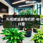 科报碳基菌有机肥-中农兴泰(图1) 科报碳基菌有机肥-中农兴泰(图1)