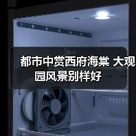 都市中赏西府海棠 大观园风景别样好(图2) 都市中赏西府海棠 大观园风景别样好(图2)