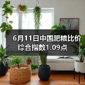 6月11日中国肥粮比价综合指数1.09点(图2) 6月11日中国肥粮比价综合指数1.09点(图2)
