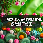 黑龙江大豆收购价走低 多数油厂停工(图2) 黑龙江大豆收购价走低 多数油厂停工(图2)