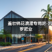 盖壮棉花滴灌专用肥-凯罗肥业(图1) 盖壮棉花滴灌专用肥-凯罗肥业(图1)