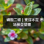 磷酸二铵 | 支撑不足 市场横盘整理(图4) 磷酸二铵 | 支撑不足 市场横盘整理(图4)