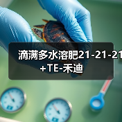 滴满多水溶肥21-21-21+TE-禾迪(图2) 滴满多水溶肥21-21-21+TE-禾迪(图2)