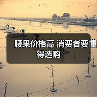 腰果价格高 消费者要懂得选购(图1) 腰果价格高 消费者要懂得选购(图1)