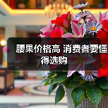 腰果价格高 消费者要懂得选购(图2) 腰果价格高 消费者要懂得选购(图2)