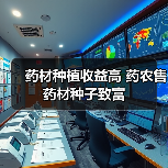 药材种植收益高 药农售药材种子致富(图3) 药材种植收益高 药农售药材种子致富(图3)